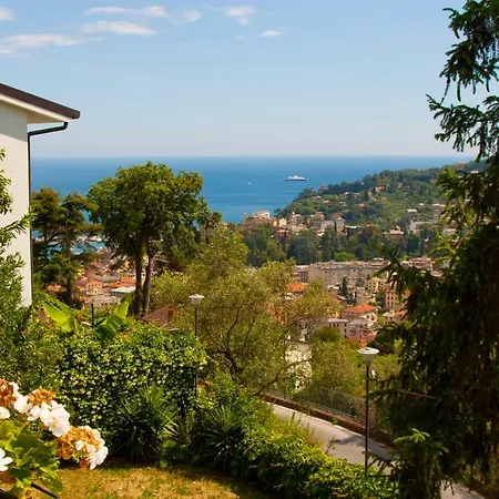 Orchidea Santa Margherita * Santa Margherita Ligure